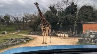 Ford trip, Parco Natura Viva