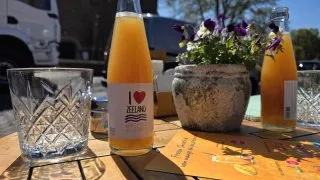 Trip Holandsko, Zeeland, kolo
