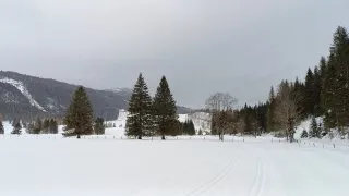 Běžkování v Alpách