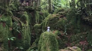 Hikerské dobrodružství v Británii 8