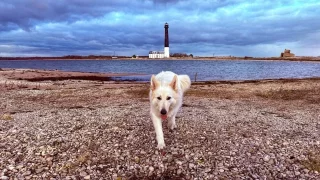 Itinerář Fotra na tripu 9, díl první: Největší estonský ostrov, větrné mlýny a náhrobky z letadel