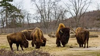 Zoo Praha