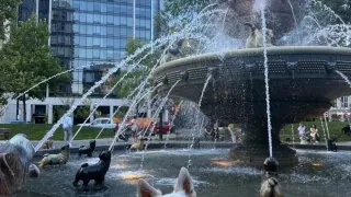 Fotr na tripu 10, psí fontána