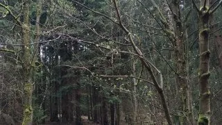 Česko, Podkrkonoší