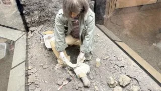 Fotr na tripu 10, dinosauři