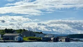 Fotr na tripu 10, Newfoundland