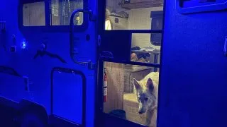 Fotr na tripu 10, kempování v Kanadě