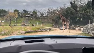 Ford trip, Parco Natura Viva