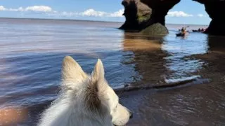 Fotr na tripu 10, Hopewell Cape