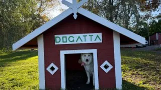 Fotr ve Finsku, design