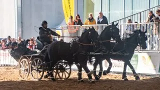 Fieracavalli 2025