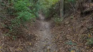 Devínská Kobyla