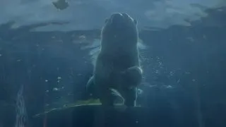 Fotr na tripu 10, medvědi