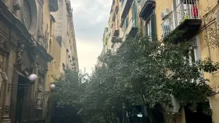 Fotr na tripu 11, Neapol, jídlo