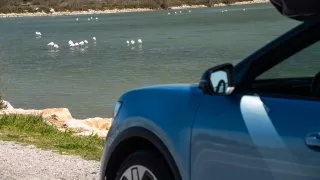 Ford trip, Camargue