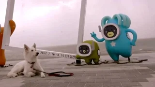 Fotr dostal upozornění na vydatné sněžní, takže vyrazil na vyhlášenou jihokorejskou pláž