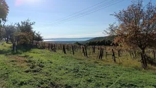 Balaton na gravelu