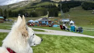 Fotr na tripu 10, Banff