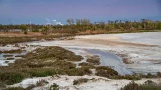 Ford trip, Camargue