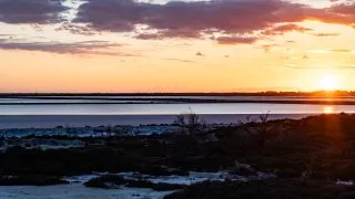 Ford trip, Camargue