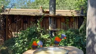 Zoo Praha