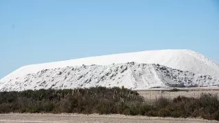 Ford trip, Camargue
