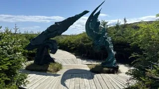 Fotr na tripu 10, Newfoundland