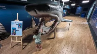 Dacia Bigster, trip Itálie,Acquario Livorno