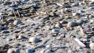 Subaru trip Dánsko, Romo, Mando