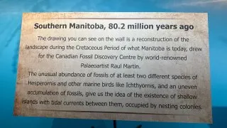 Fotr na tripu 10, dinosauři