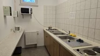 Flaeming inline