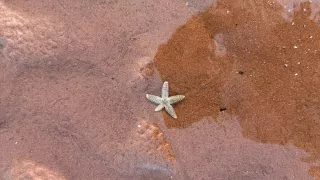 Fotr na tripu 10, Ostrov prince Edwarda