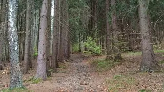 Česko, Podkrkonoší