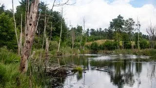 Trip Drawsko, cyklostezka