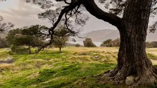 Skotsko roadtrip 2025