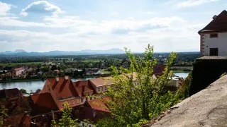Trip Chorvatsko 2026, Ptuj