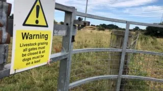 Hikerské dobrodružství v Británii 8