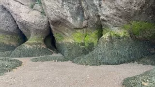 Fotr na tripu 10, Hopewell Cape