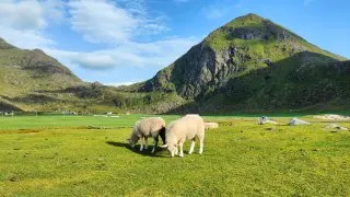 Přes Nordkapp na Lofoty