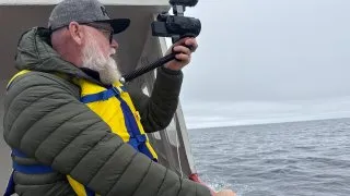 Fotr na tripu 10, velryby