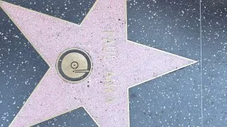 Fotr na tripu 12, Hollywood