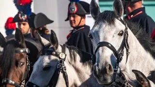 Fieracavalli 2025