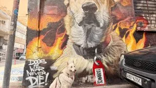 Fotr na tripu 11, Athény