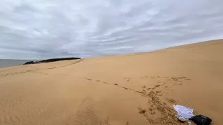Ford trip, Duna du Pyla