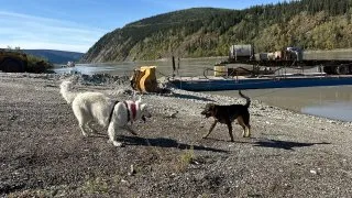 Fotr na tripu 10, Dawson City