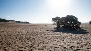 Dacia Bigster, trip Itálie 2025, Dune di Piscinas