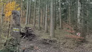 Hohe Wand