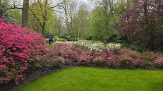 Keukenhof