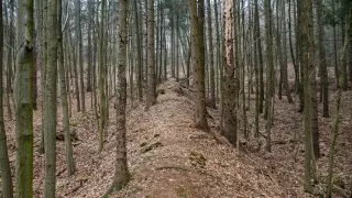 Subaru trip, Baťa, Bunč