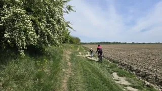 Žitný ostrov, vodní mlýny na kole